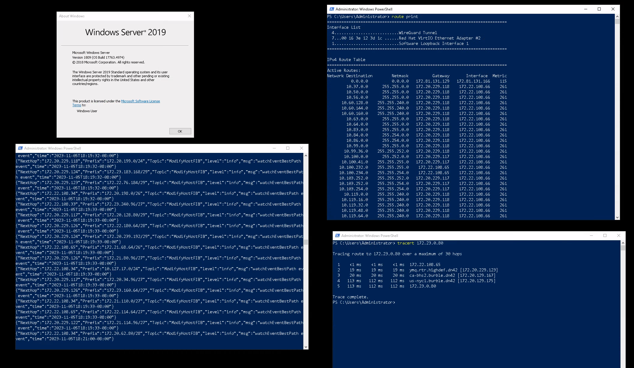 GoBGP and route table output on Windows